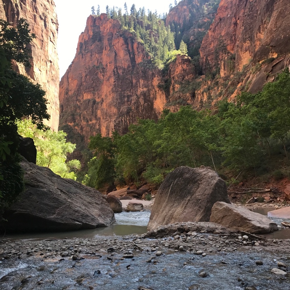 Meet your Posher, Tonya